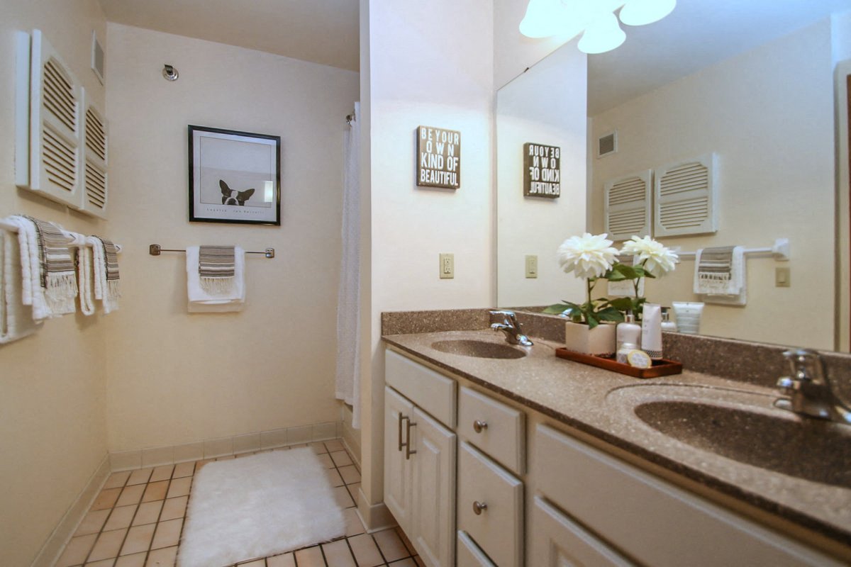 Photos and Video of LaVille in Madison, WI